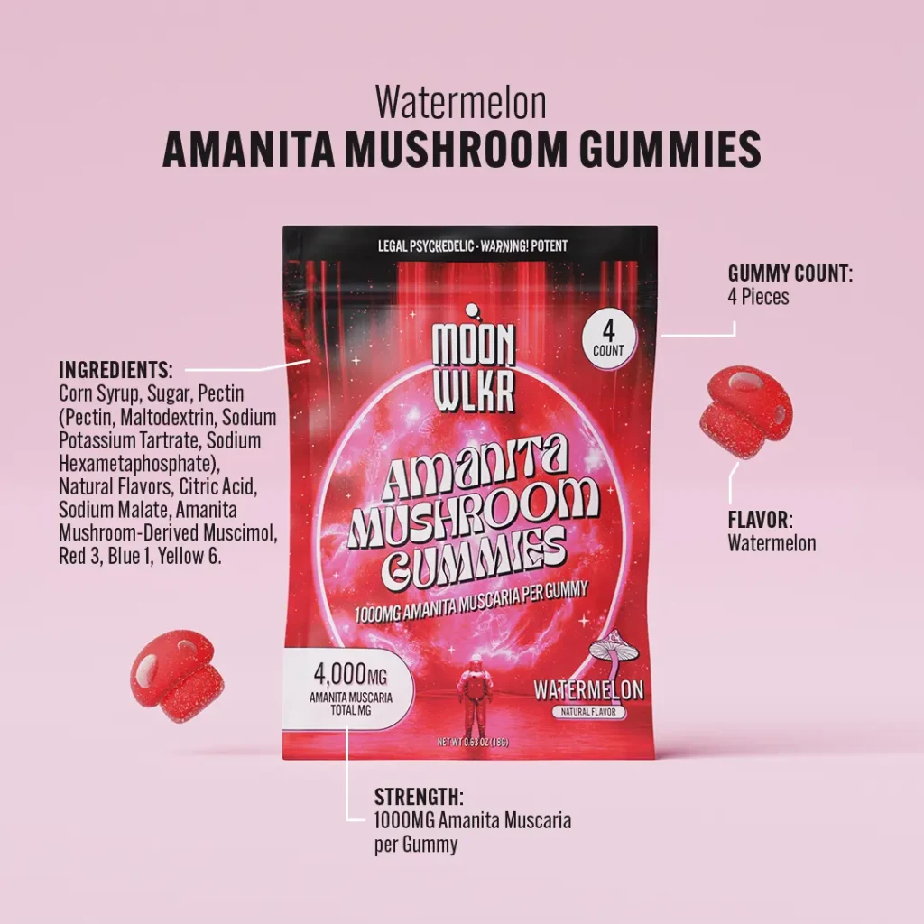 The Beginner's Guide to Amanita Muscaria Gummies Effects